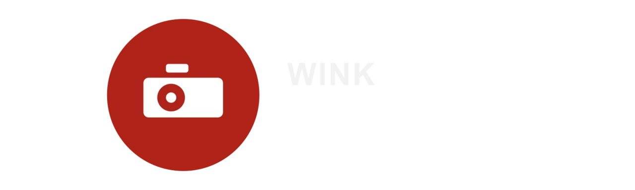 WINK Archive logo