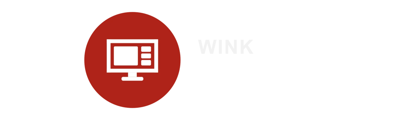 WINK Vision logo